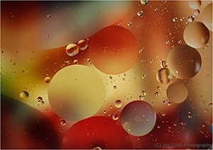 Cosmos
